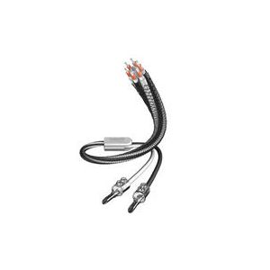 inakustik LS - 603 Baanana