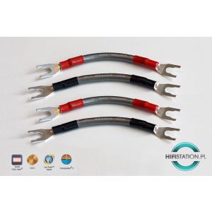 WireWorld Biwire Jumpers Equinox - Zworki głośnikowe