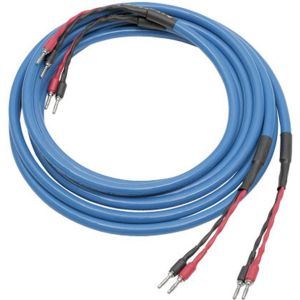 Cardas Clear Beyound Speaker Kabel głośnikowy Bi wire