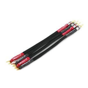 Tellurium Q Black Diamond Link - zworki głośnikowe