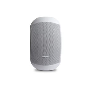 Apart Audio MASK6C-W