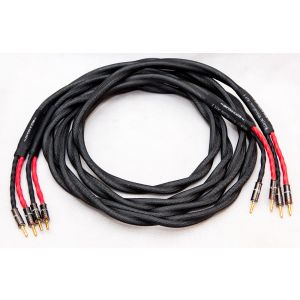 Black Rhodium ACT 1 Kabel Głośnikowy