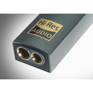 iFi Audio GO link Max Słuchawkowy DAC/AMP