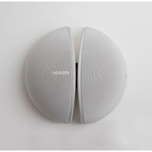 Monitor Audio Vecta V240-LV Głośnik naścienny 70/100V