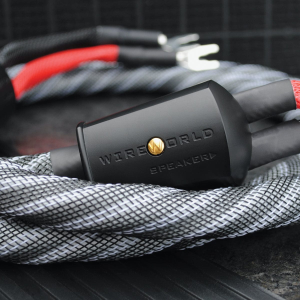 Wireworld Platinum Eclipse 10 PES kabel głośnikowy 2x2m