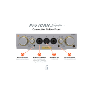 iFi Audio Pro iCAN Studio Wzmacniacz słuchawkowy