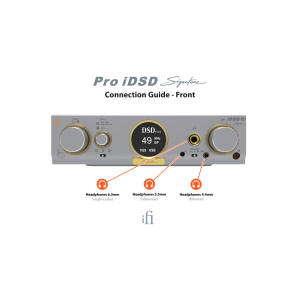iFi Audio Pro iDSD Studio Przetwornik DAC / Wzmacniacz słuchawkowy