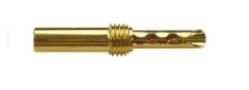 Wireworld Gold Banana Plug - Pozłacany wtyk bananowy bez osłony