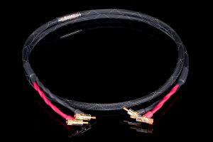 Acoustic Zen Epoch E-1080 Single Wire