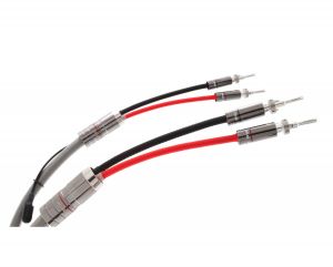 Atlas Ascent Grun Kabel głośnikowy 3m