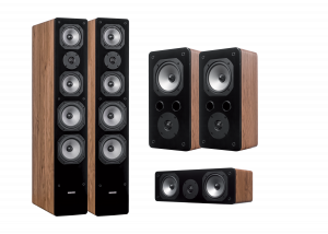 Dynavoice Challenger M65+S5+C5 Zestaw 5.0