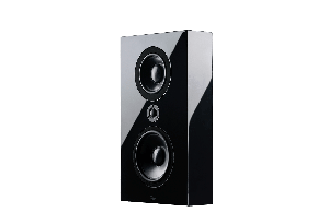 Lyngdorf FR-1 Black ASH Głośniki naścienne